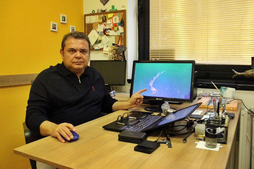 Kabus geri döndü: Sessiz ve derinden ilerliyor! Üniversiteden bilim insanları çalışma başlattı 13